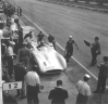 [thumbnail of 1955 italian gp practice - juan manuel fangio (mercedes).jpg]